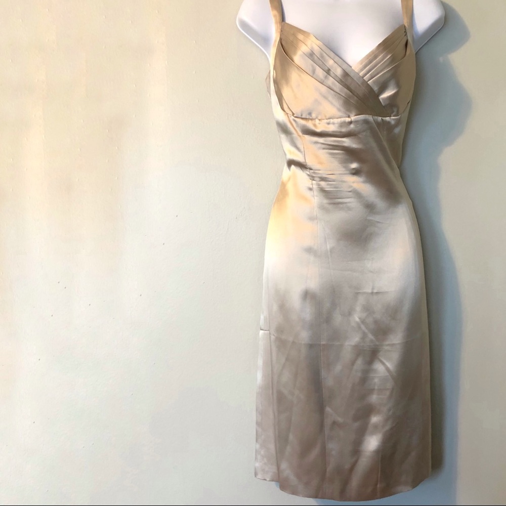 EUC Antonio Gual Champagne Silk Bridal Formal Gown - Picture 4 of 7